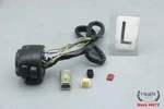 2010 Harley Softail Left Hand Control Switch Assembly Video #4073. Fixed Price $94.44.