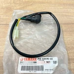 Yamaha Oem Nos Pilot Light Assembly / JR4-83530-00 Golf Cart. Fixed Price $16.00.