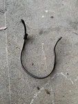 Gas Fuel Line Knucklehead Panhead Harley 62352-50 62352-41. Fixed Price $99.99.