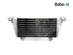 Oil Cooler Bmw 2023 (M1000R KM3) (8356805). Fixed Price $428.25.