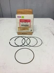 Honda Piston Ring Set .25 O/s 05 06 07 08 09 10 12 TRX500 13011HP0A01. Fixed Price $35.00.