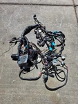 99-04 1999 Triumph Speed Triple Wiring Harness Electrical Wire Loom Fuse Relay. Fixed Price $129.95.
