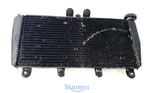 Triumph Daytona 955I Radiator Unit With Fan Assembly Good Shown 2001 2006. Fixed Price $235.04.