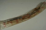 Nos 1972 Kawasaki 500 Front Brake Line Hose, H1B. Fixed Price $79.99.