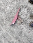 1972 Honda CT90K Chain Guard Cover Trail Red Straight Need Of Paint. Fixed Price $30.00.