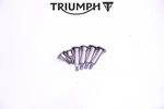 #117 Engine Valve Cover Bolt Set Triumph Street Triple 765 Rs 2017-2024. Fixed Price $19.99.