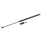 For Honda Accord 1991-1993 Sachs SG226019 Driver Side Liftgate Support. Fixed Price $16.84.