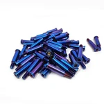 Pivot Bolt (tornillo De Palanca )ti Magura Clutch Husqvarna FS450 Fasterracers. Fixed Price $34.35.