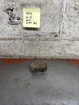 1973 Harley Davidson Aermacchi Sprint Handlebar Clamp Oem Vintage. Fixed Price $29.95.