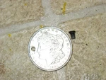 83 Yamaha XV920 Virago Midnight Gas Tank Emblem Screw Hardware. Fixed Price $5.24.